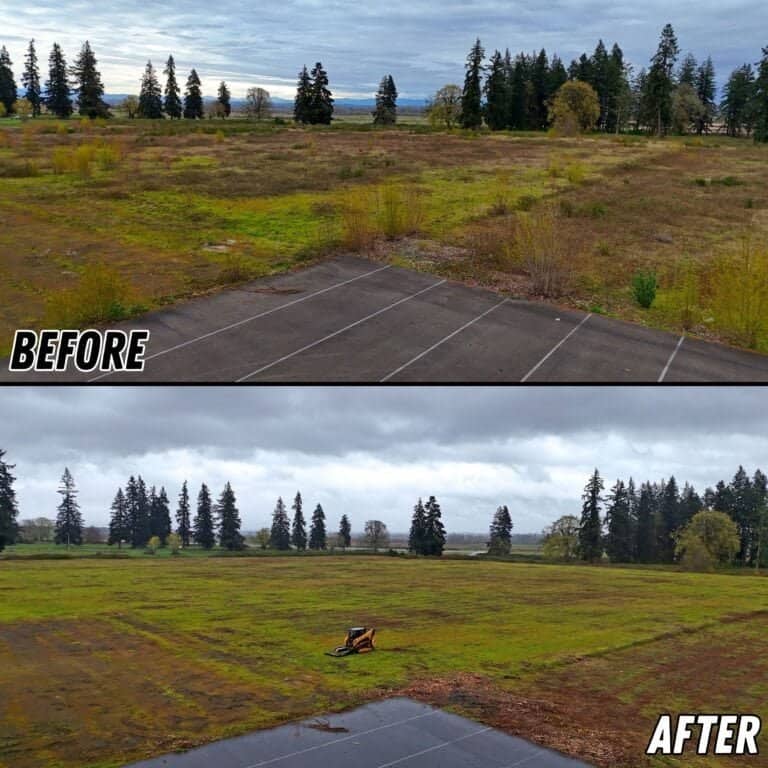 Brush Mowing