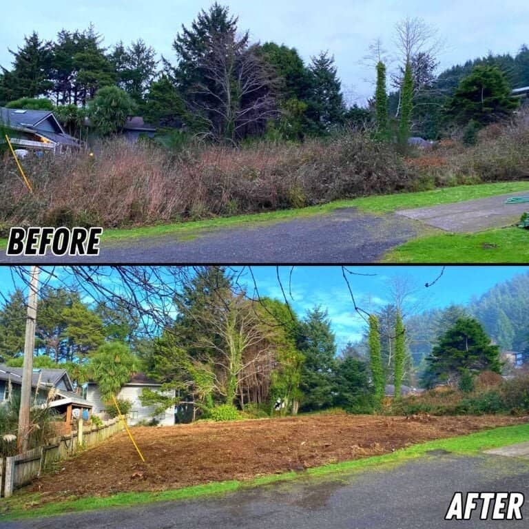 Brush Clearing