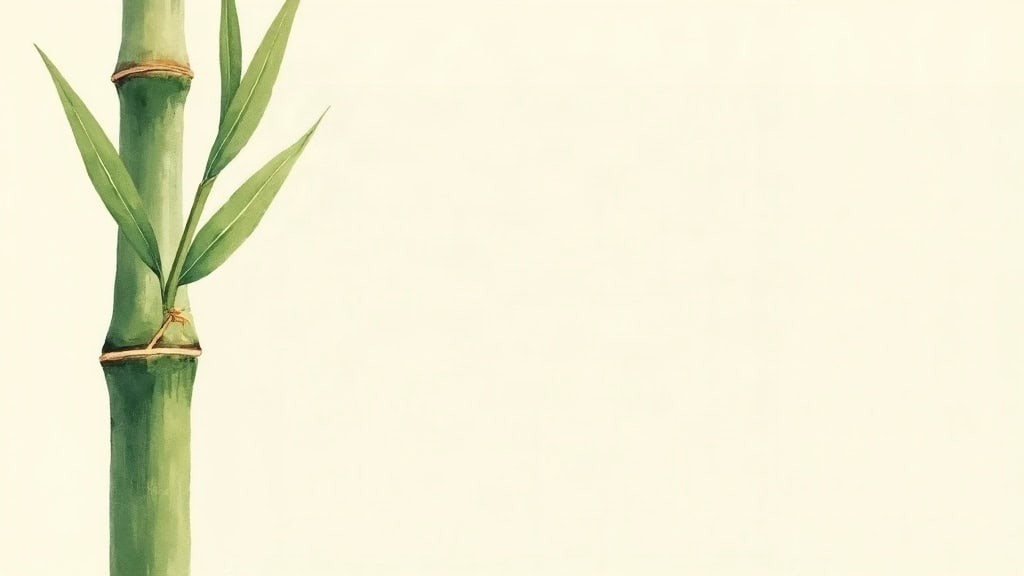 Illustration representing acupuncture for knee pain