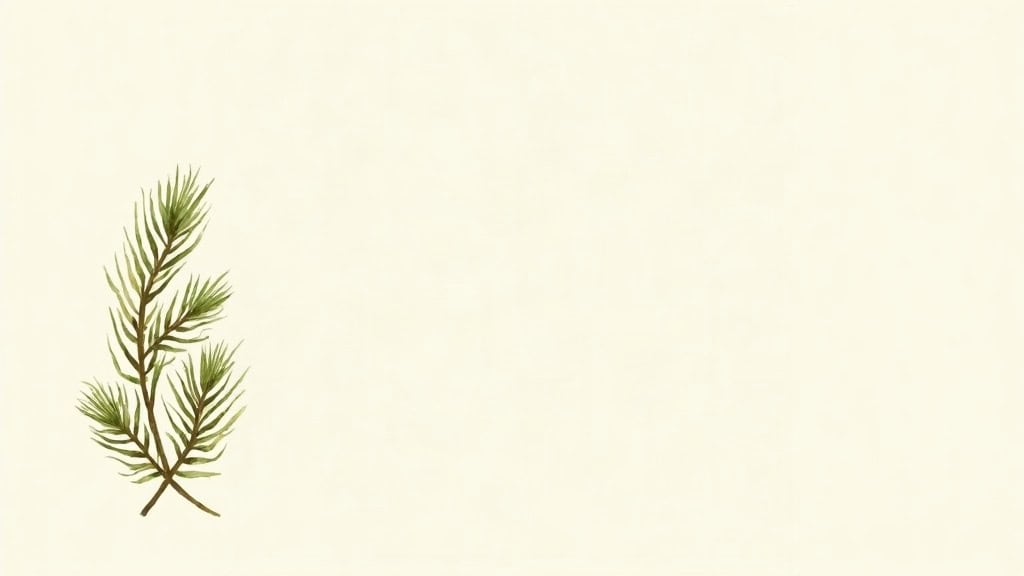 Illustration representing orthopedic acupuncture and dry needling