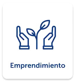 ico5