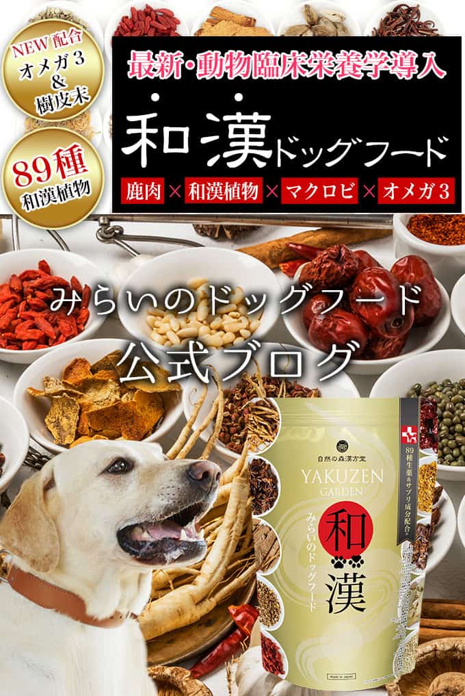 YAKUZEN GARDEN 自然の森漢方堂がプレオープンしました。 | 和漢