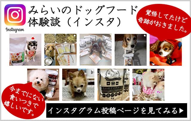 Instagram　みらいのドッグフード