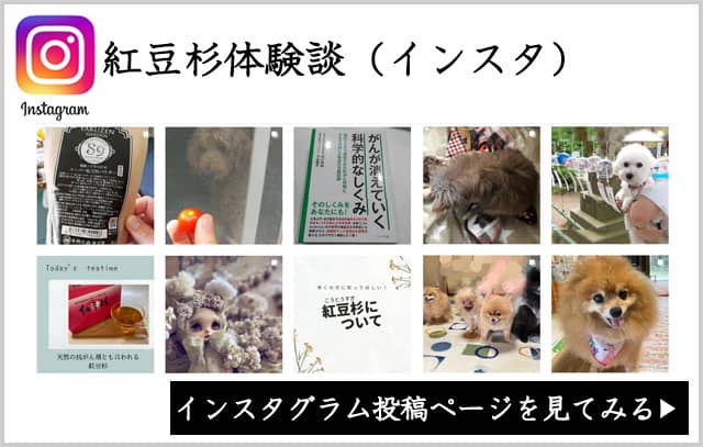 紅豆杉体験談（インスタ）