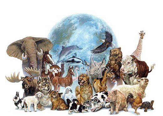 incarnation des animaux