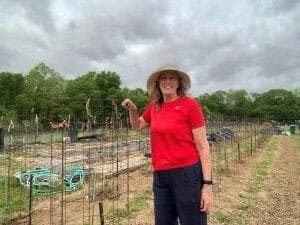 Nancy Dru standing in front of 43 planted tomatoes.