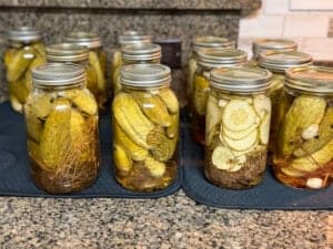 Dill cucumbers out of the boiling water bath