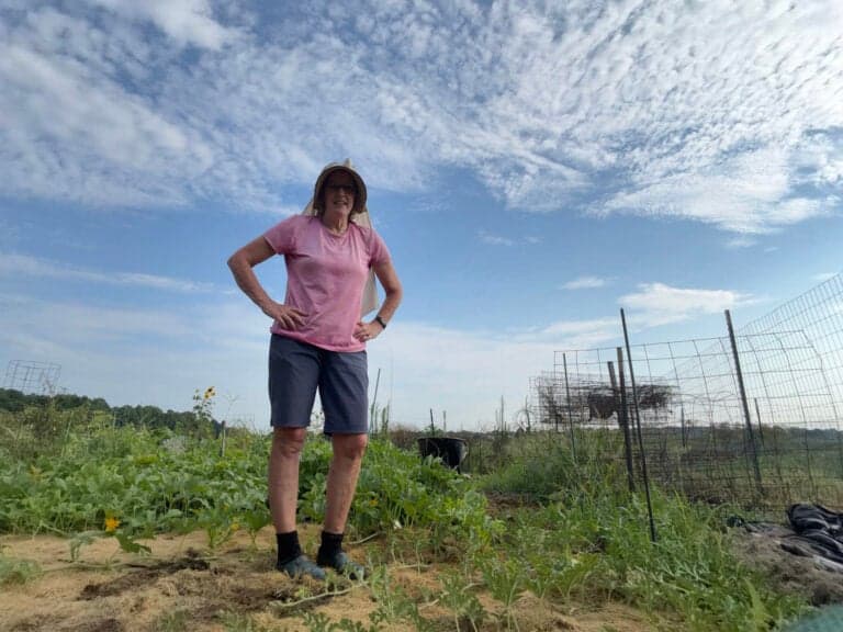 Nancy boxing the squash and watermelon with brown boxes and grass.