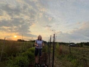 Nancy tilling the 11-foot trellis row for Chinese beans