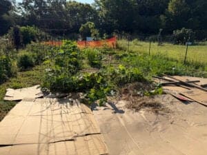 Adding more boxes for the roaming cucumbers and watermelon