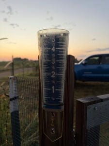 Rain Gauge at .25 inches at a sunrise.