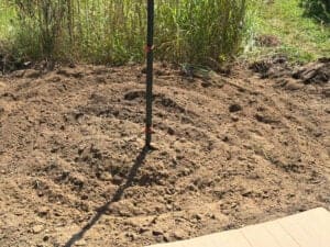 Tilled 4' x 6' bed dedicated to dill, which you can see in the background.