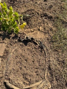 RRR Landscape Fabric Holes