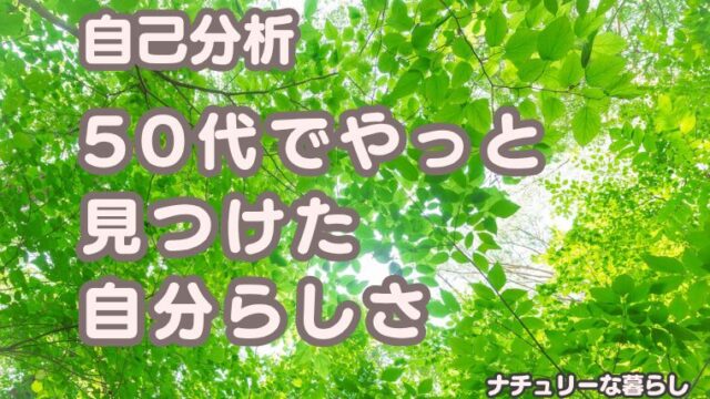自己分析