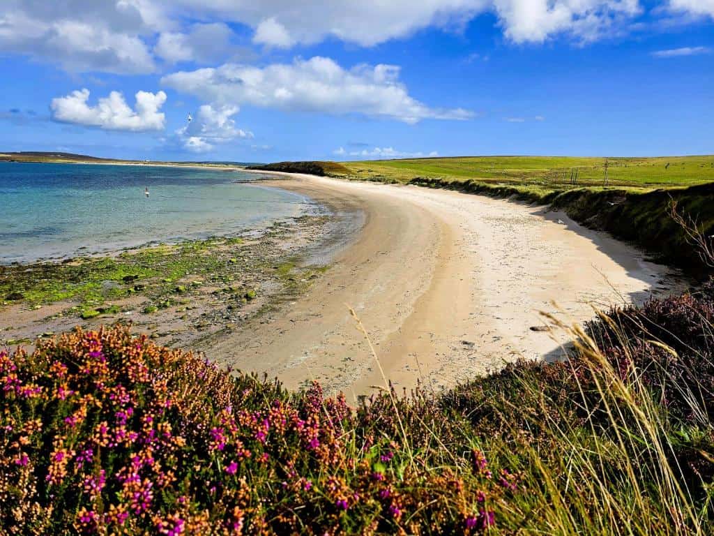 nearby-beach