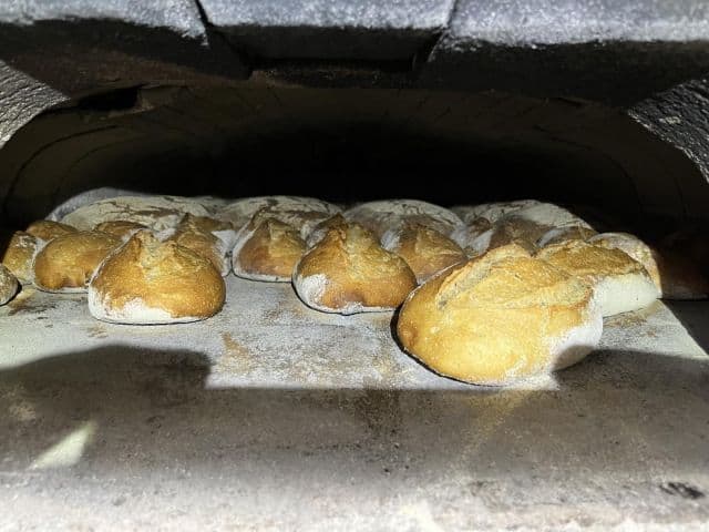 Publication 17945996647908410 Instagram