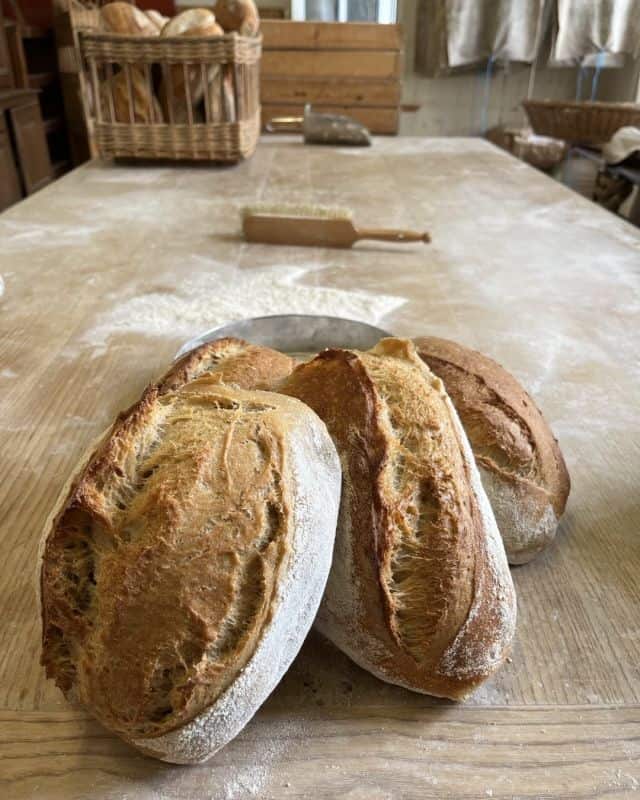 Publication 17975005042628246 Instagram