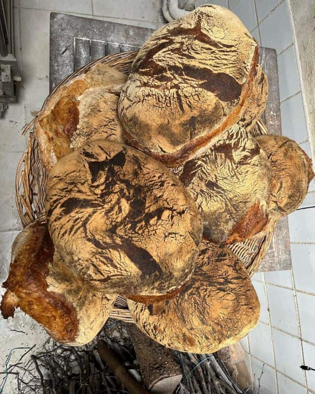 Publication 17959759636816952 Instagram