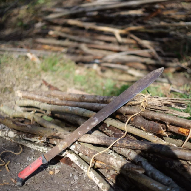 Je cherche des endroits sympas où pouvoir faire des fagots dans les environs de Liomer, si quelqu'un a des tuyaux :)