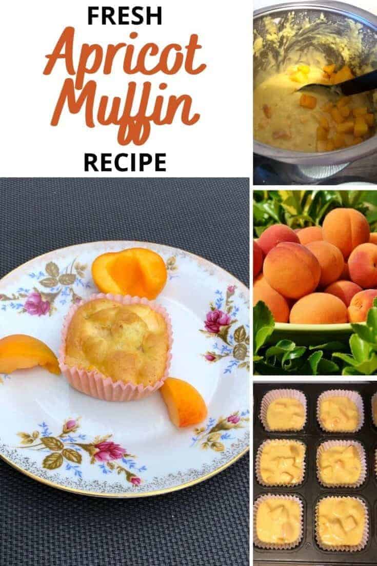Easy Fresh Apricot Muffins Recipe Ready In 30 Minutes!