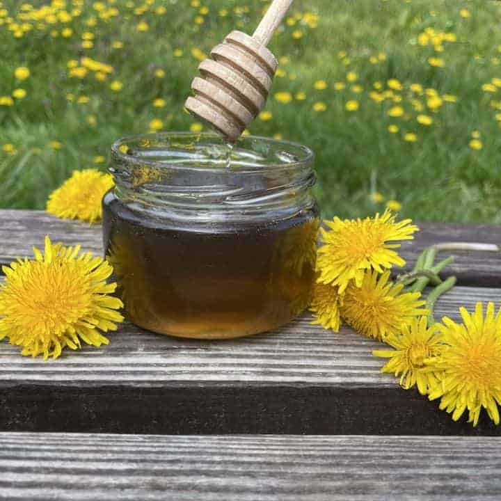 Dandelion flower syrup in a jar on a wooden bench.