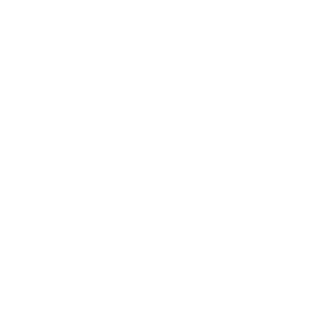 Prana Events logo