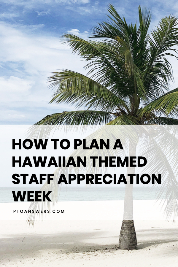 Palm tree in tropical location