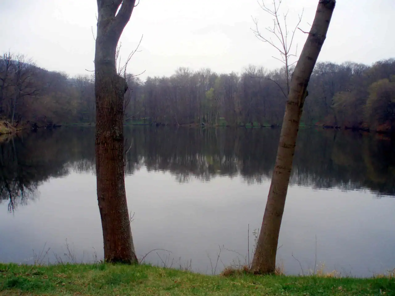 Mönchenmühlenteich