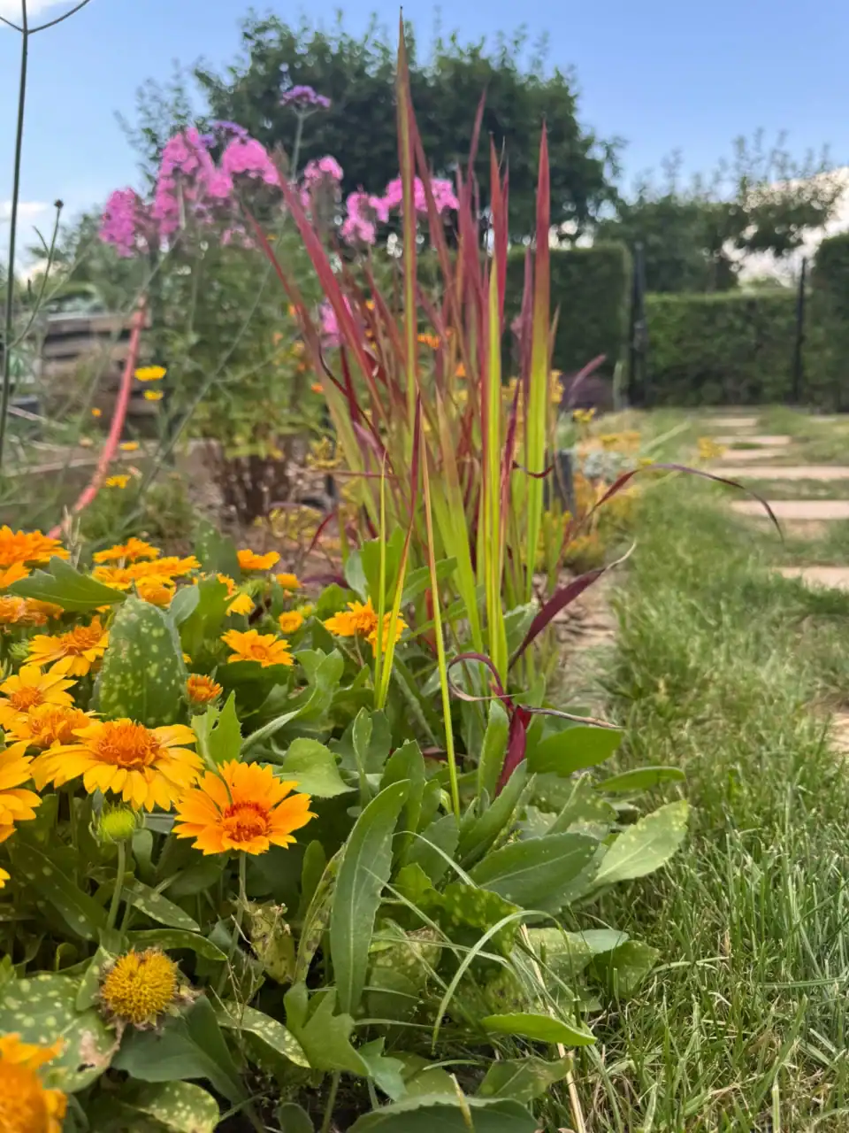 Gemütliche Gartenparzelle im Harz