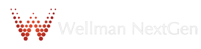 Wellman Nextgen: Drilling and Well Data Management Software Solution, Data Analytics, completion, Well Intervention cloud software solution