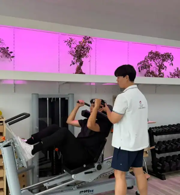 Krankengymnastik am Gerät bei Rothstein Physiotherapie in Berlin-Spandau