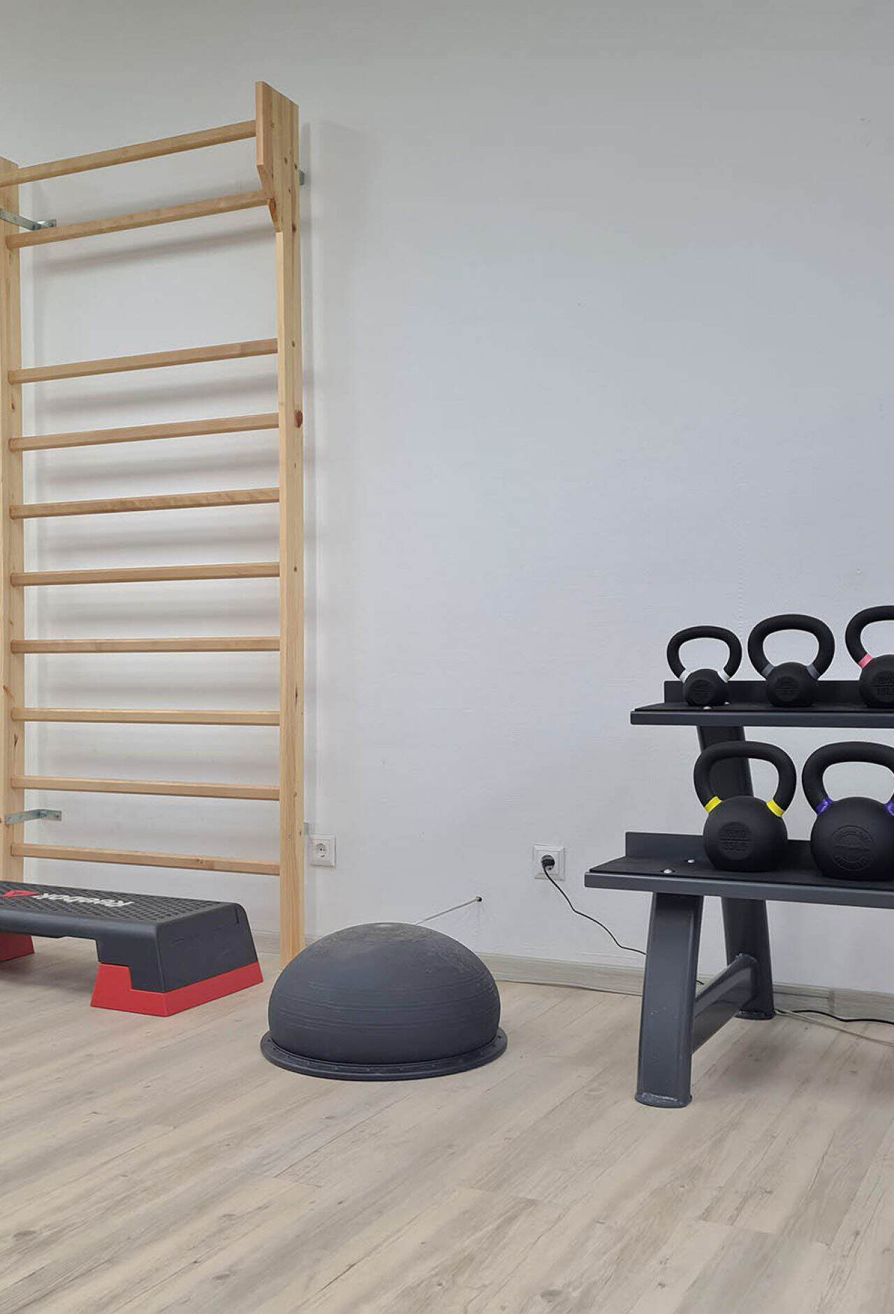 rothstein-physio_0005_Hintergrund