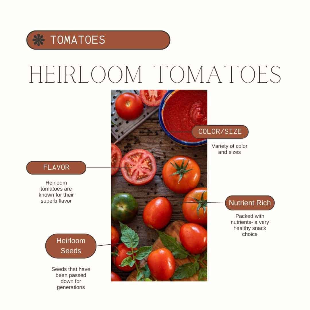 Tomato Product Guide