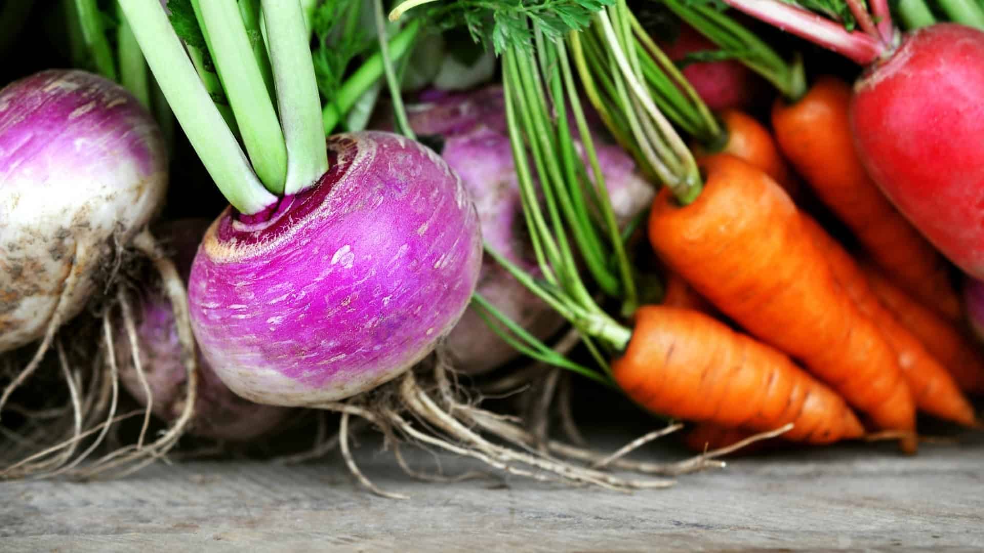 Alaska Food Security 20 Cold-Hardy Crops for Self-Reliance