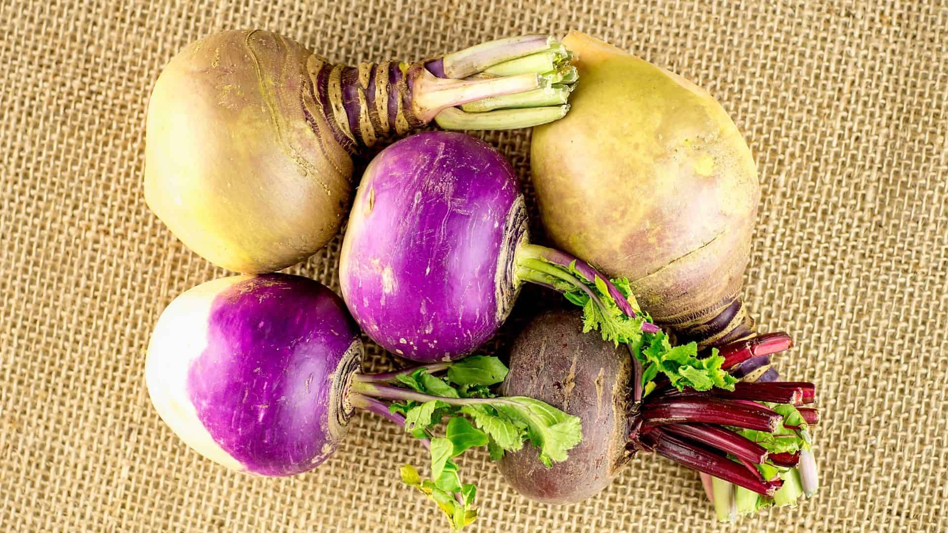 Spring Direct Sow Seed Bundle - Image 7