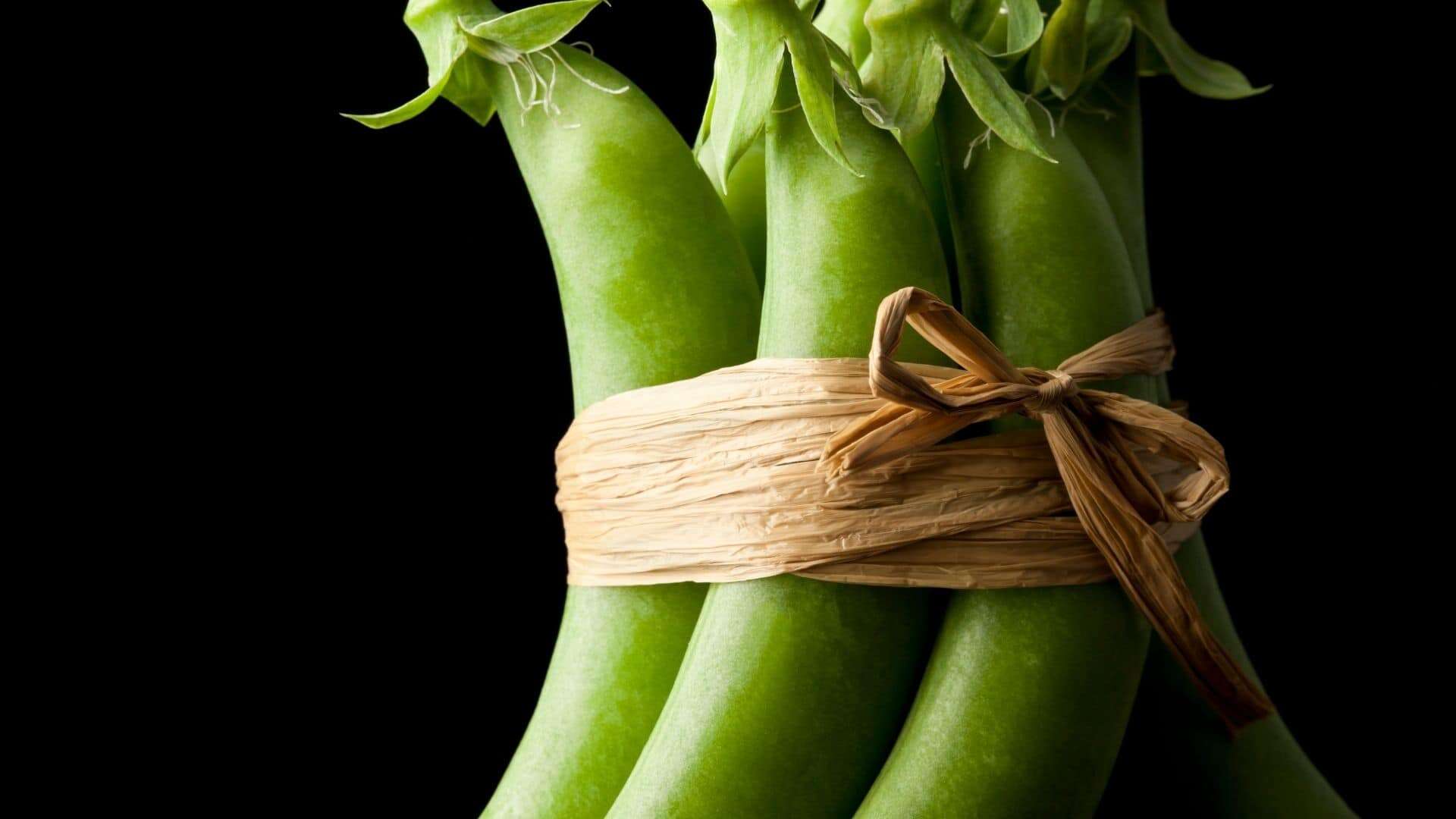 Sugar Snap Pea Seeds Crisp, Sweet Pods for Cool-Season Gardens - Image 4