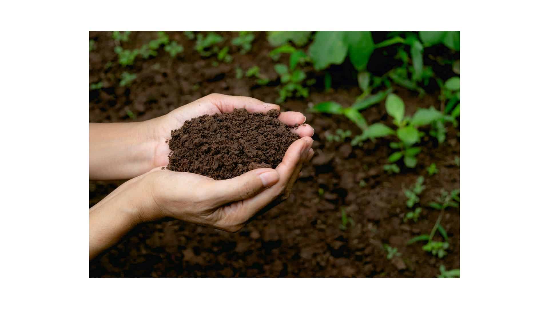 Soil Online Course - Image 5