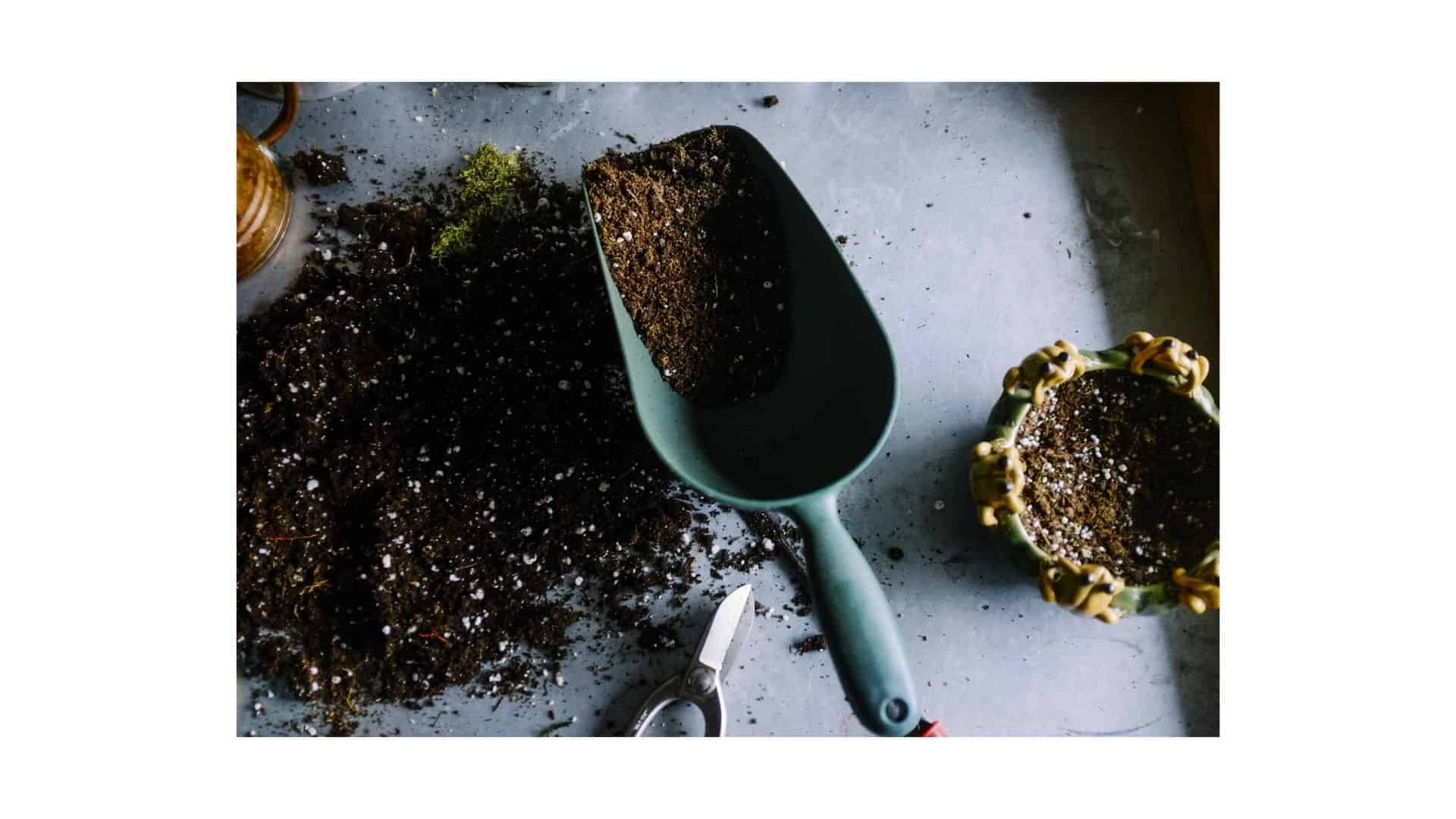 Soil Online Course - Image 2