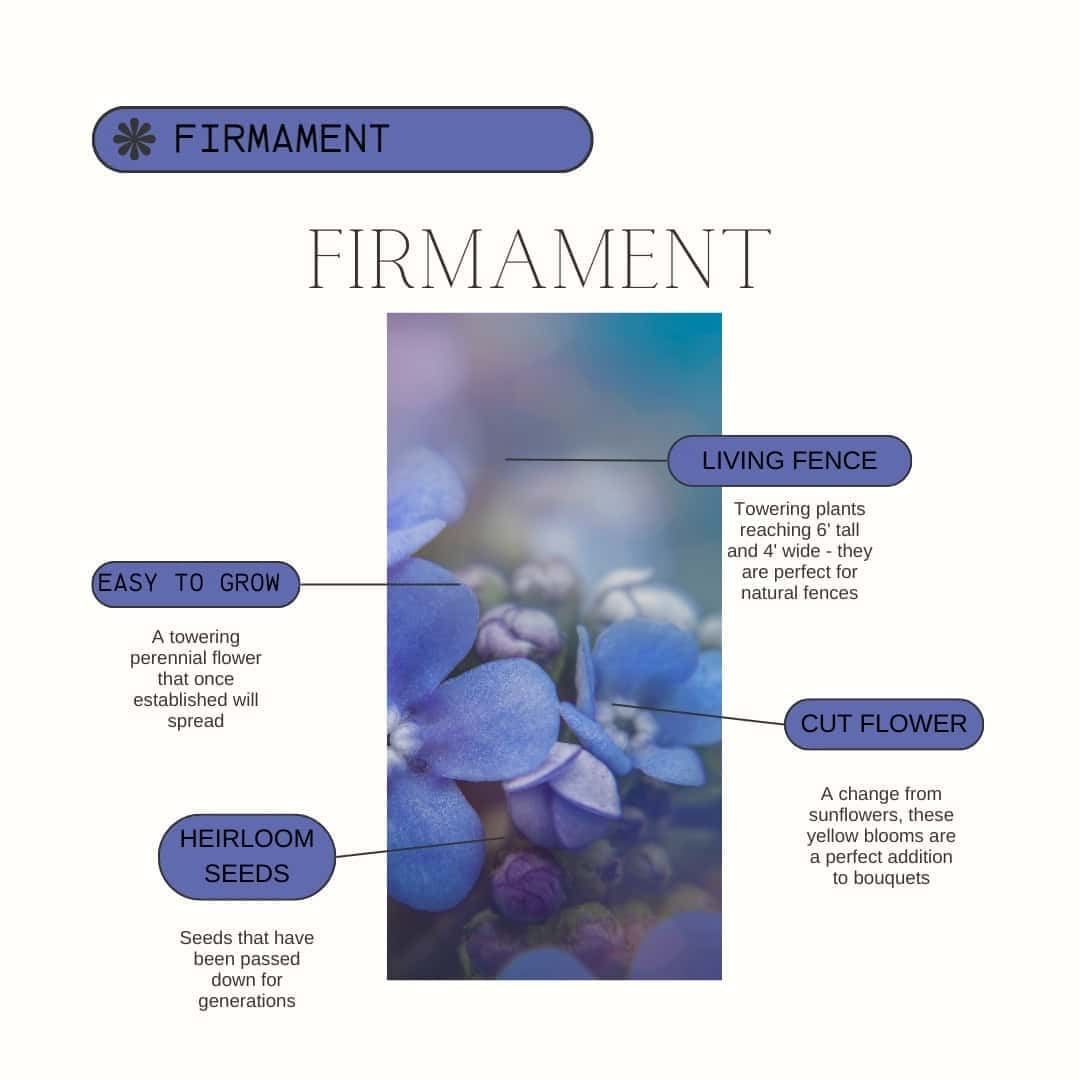 Firmament Product Guide