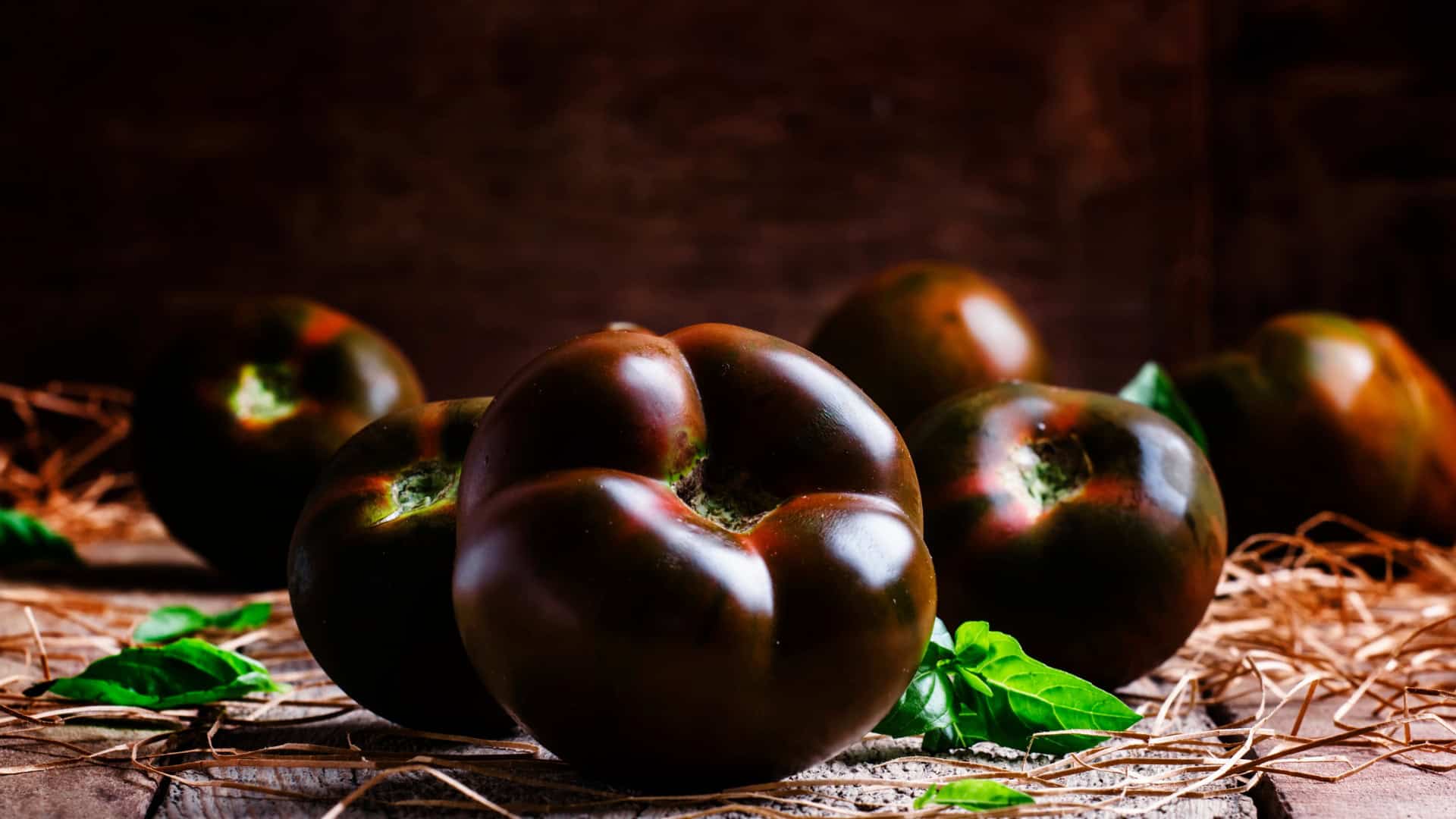 Alaska seed black krim