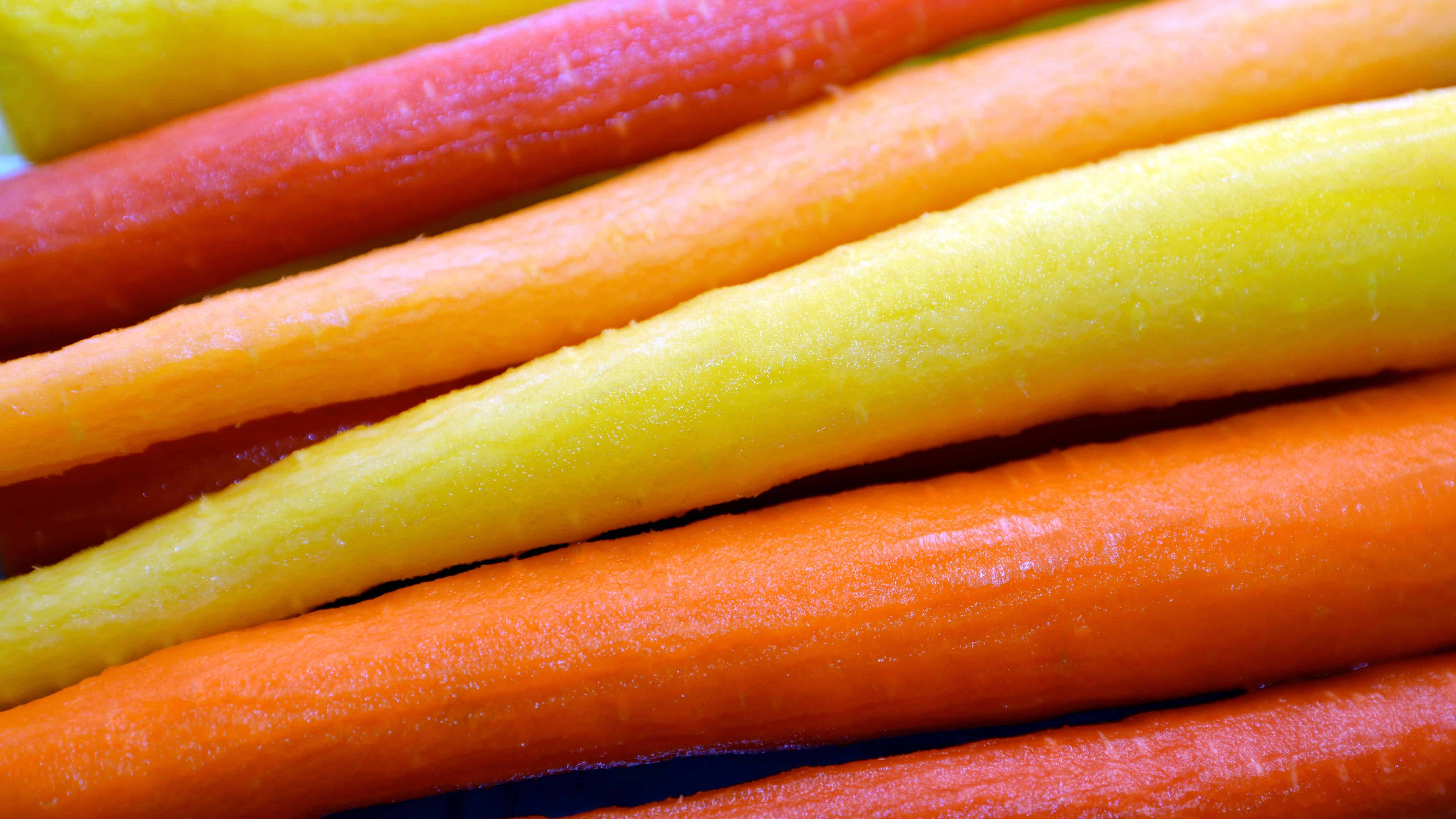 The Alaska Gardener Online Course Grow Food Year-Round in Northern Climates - Image 13