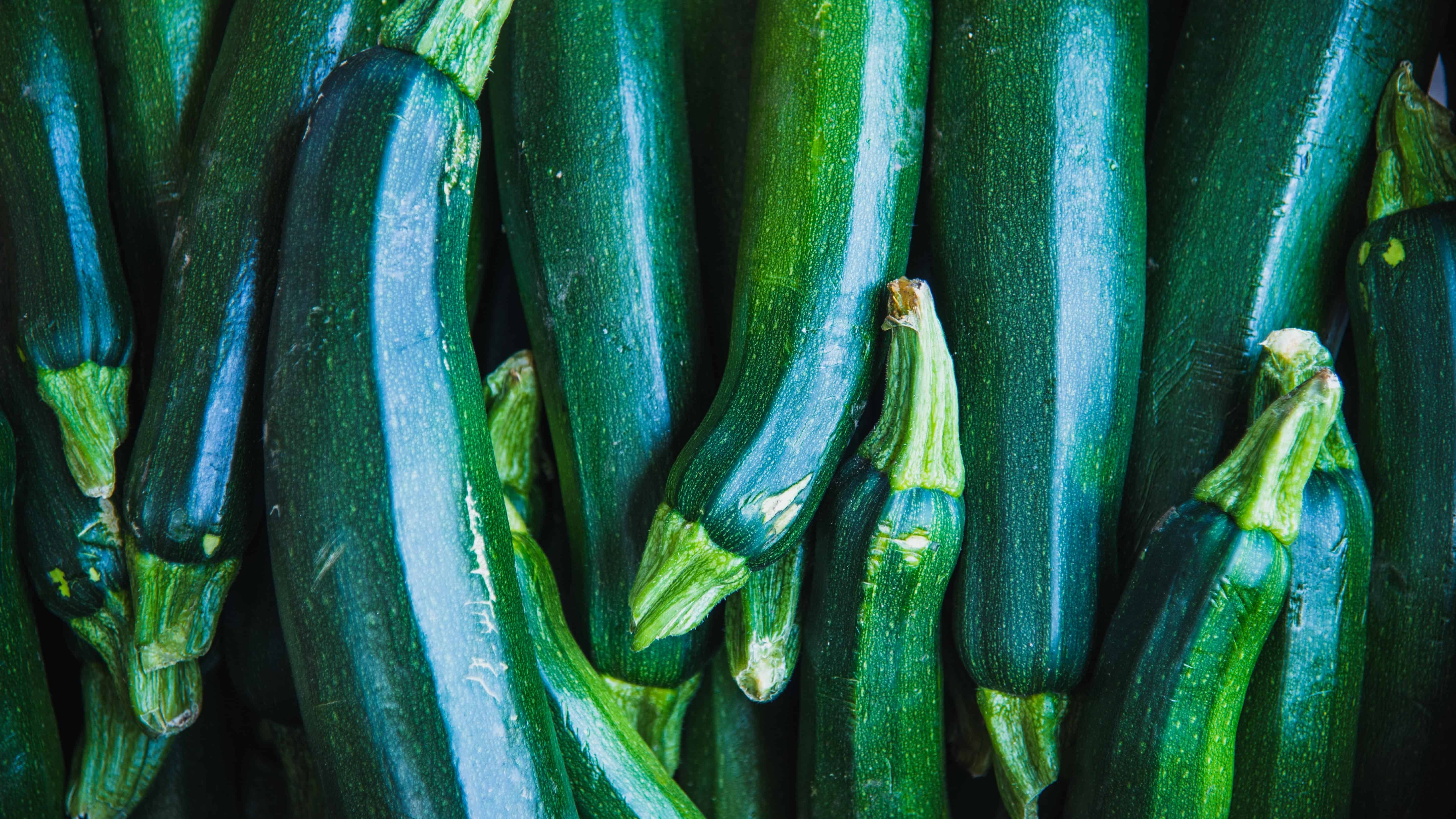 Zucchini Seed