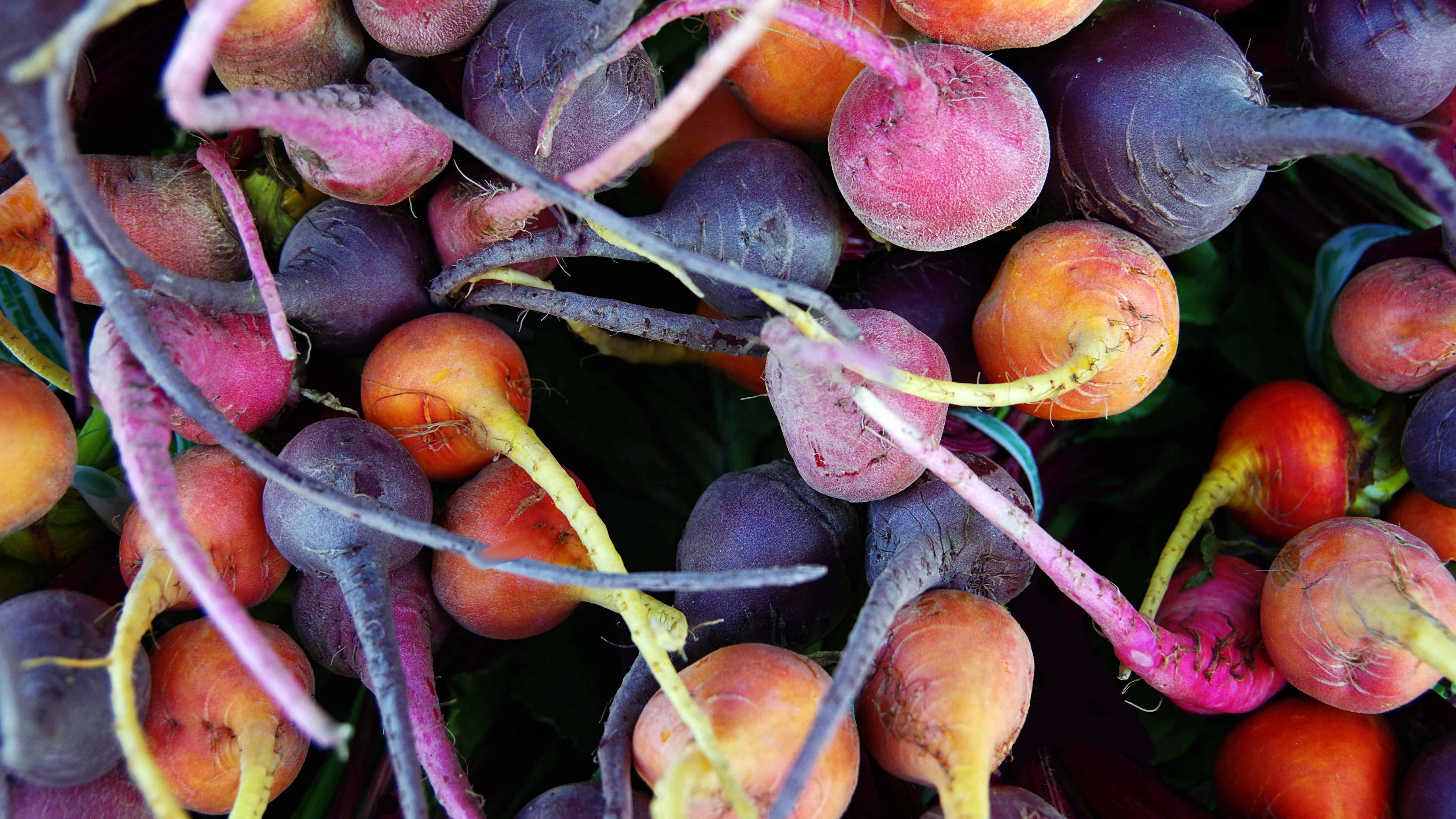 The Alaska Gardener Online Course Grow Food Year-Round in Northern Climates - Image 9
