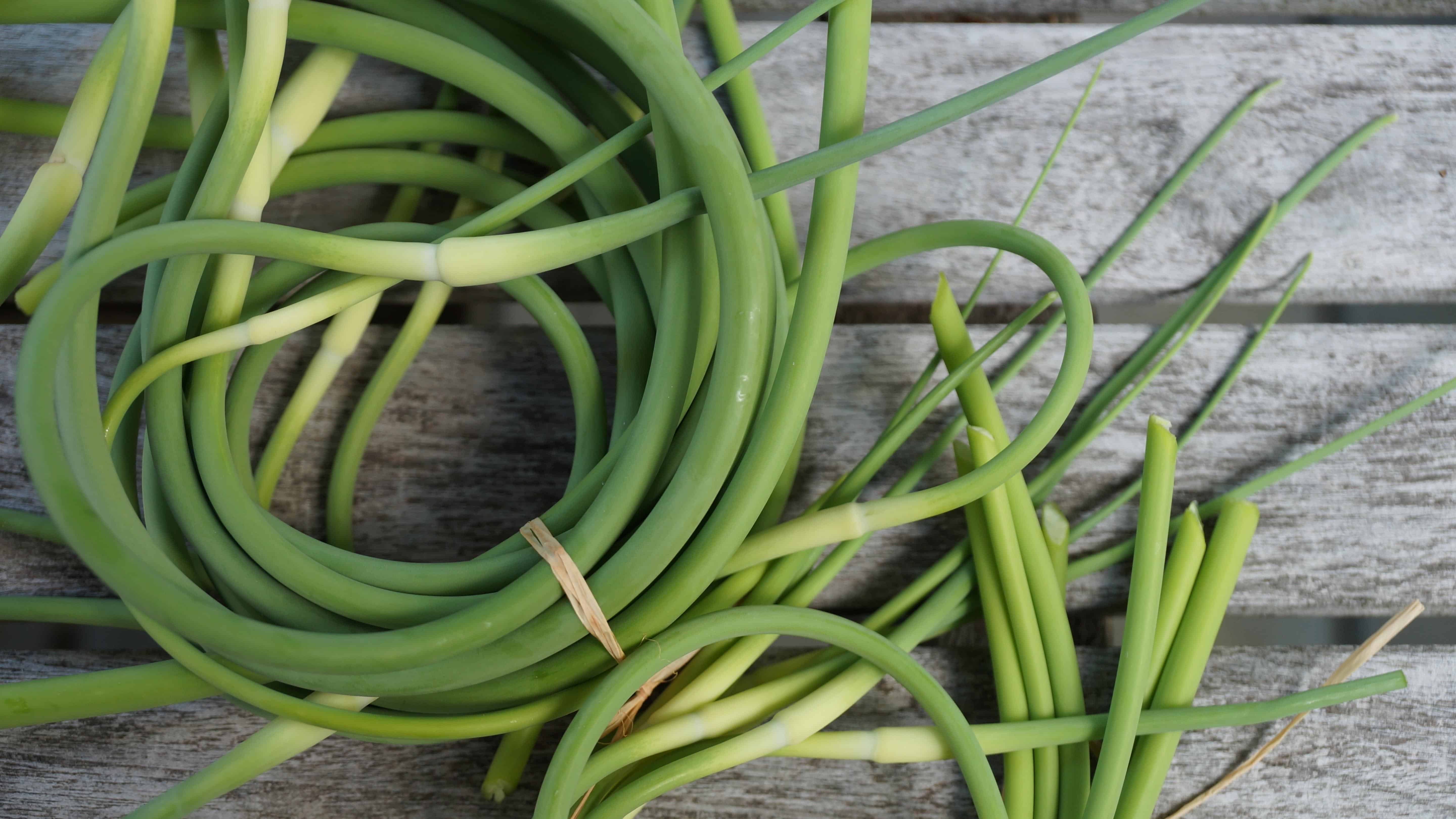 Garlic Class Online (Garlic Heads Included) - Image 6