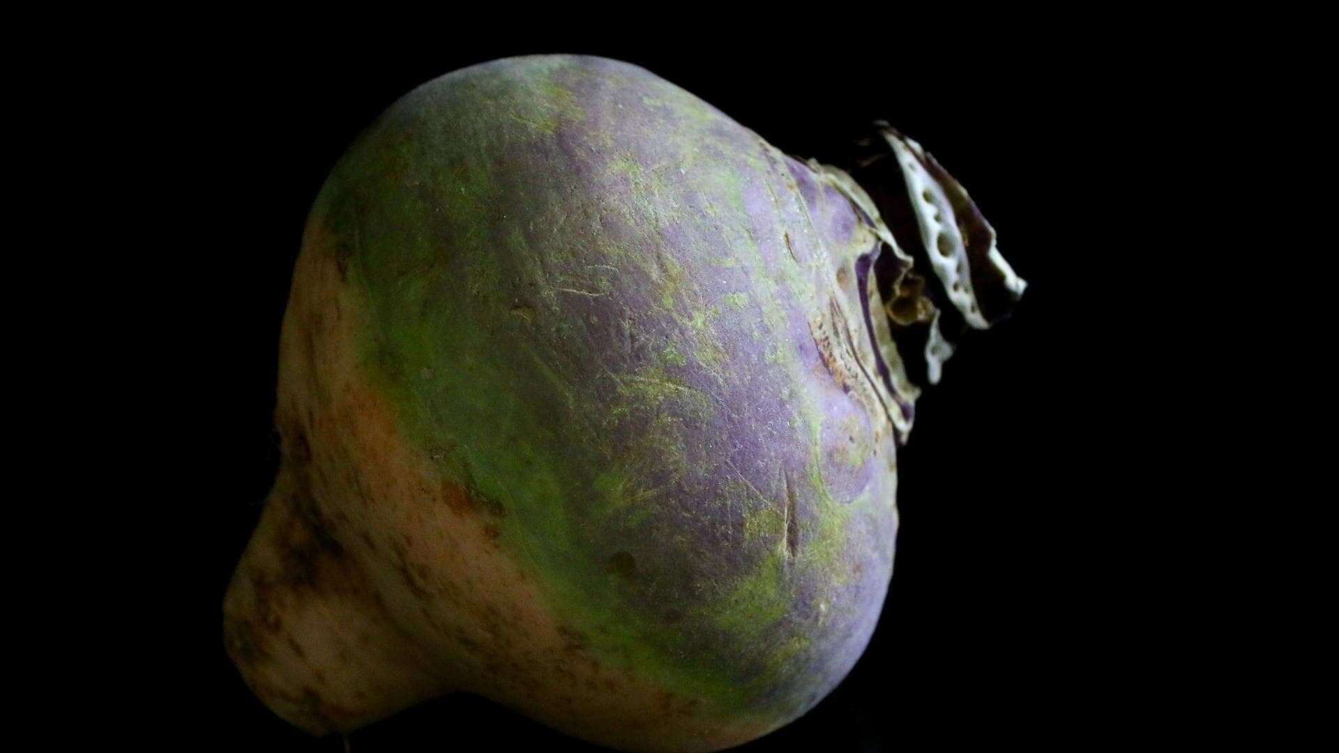 Rutabaga Purple Top Seed (Brassica napus) - Image 3