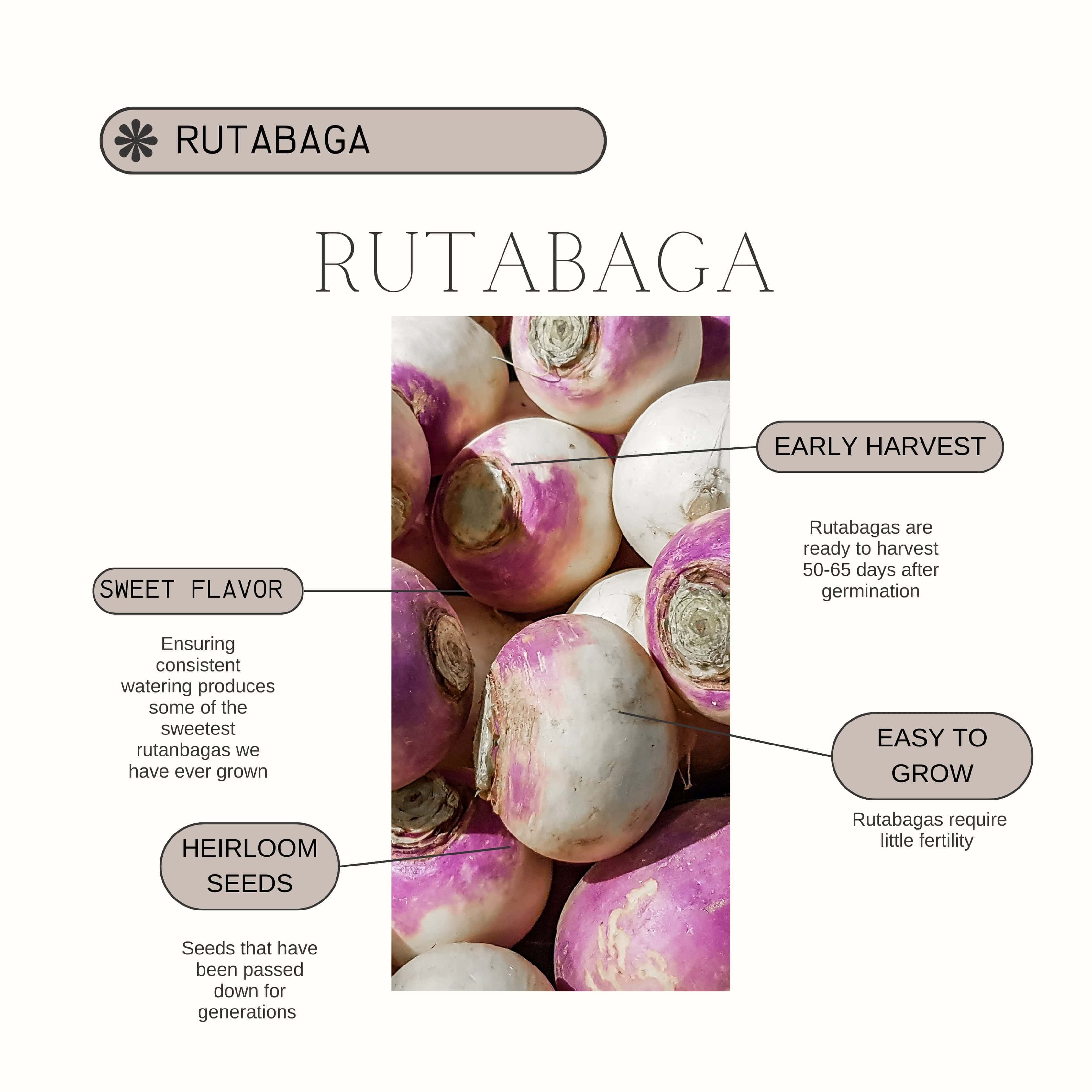 Rutabaga Product Guide