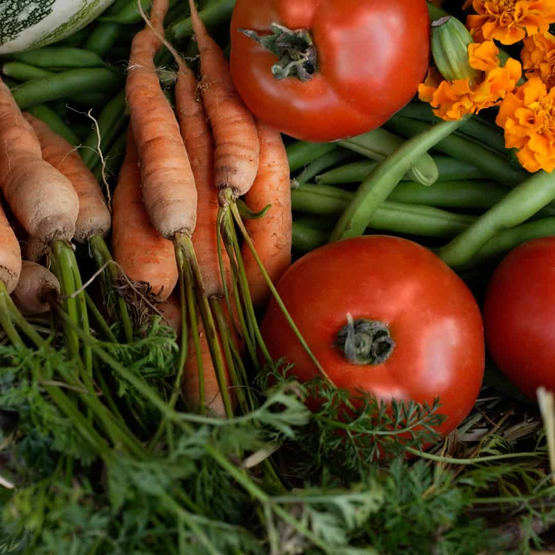 Free Garden Planner (Printable) - Image 2