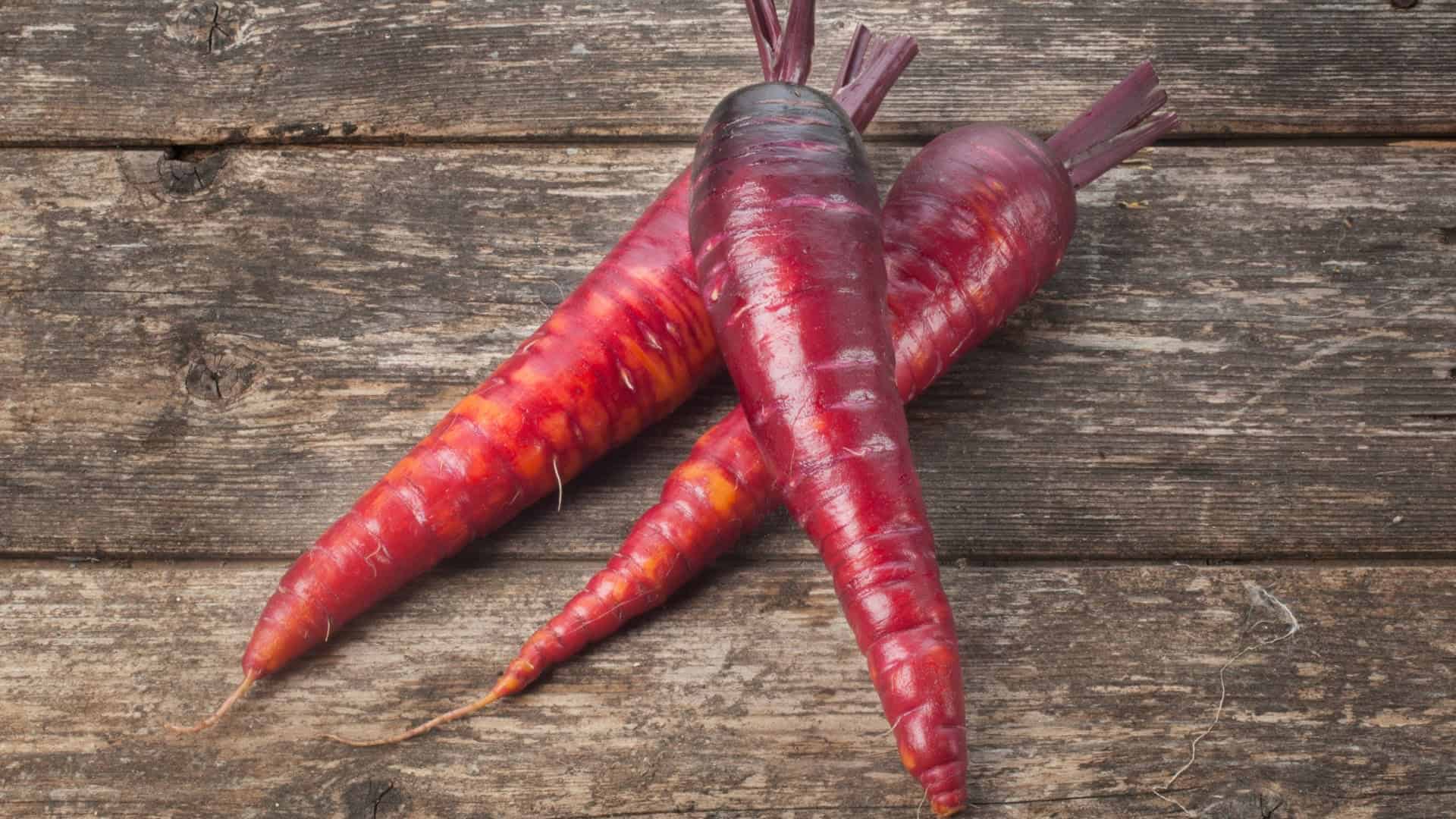 Spring Direct Sow Seed Bundle - Image 2