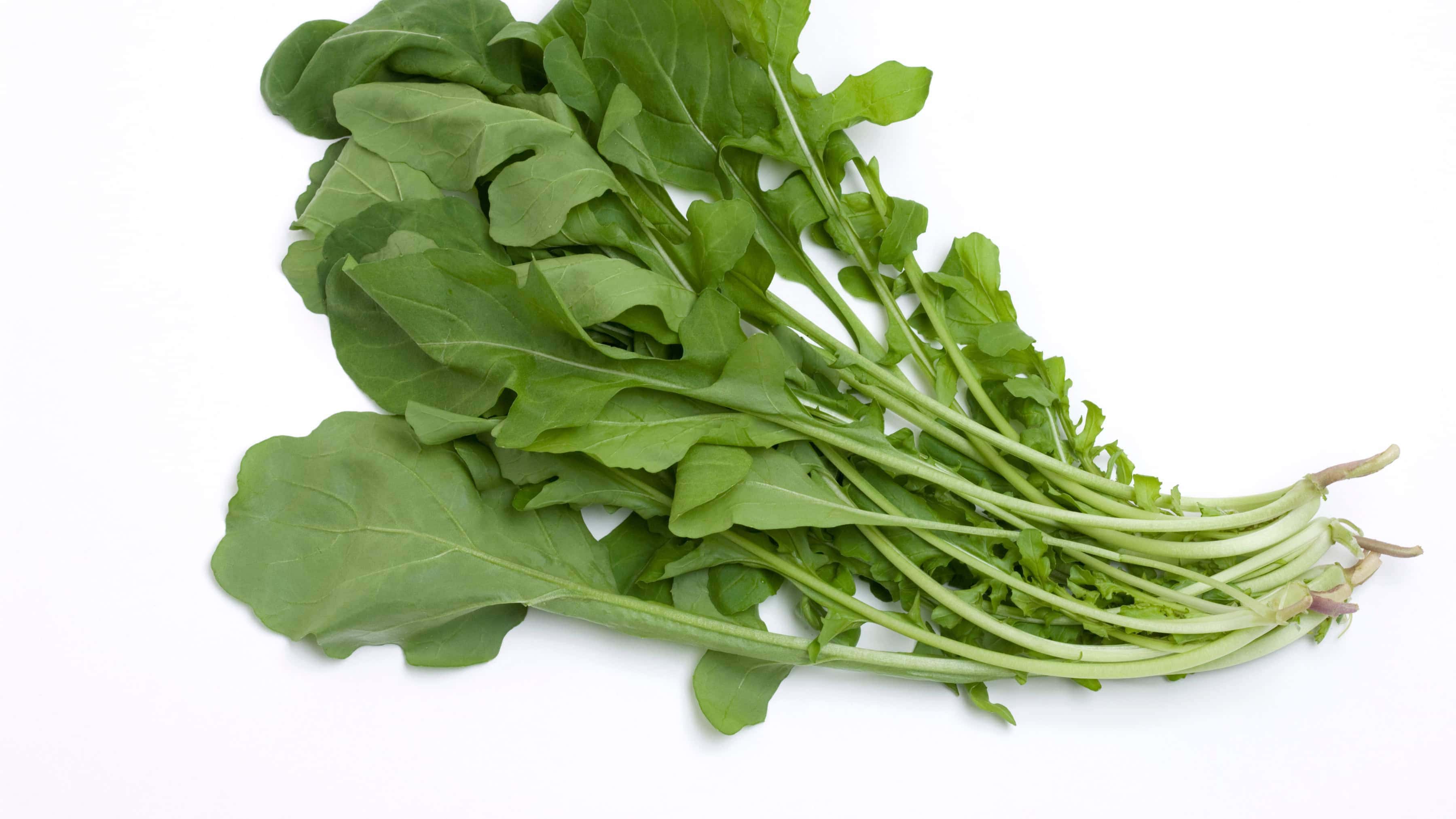 Wasabi Arugula Seed (Diplotaxis erucoides) - Image 3