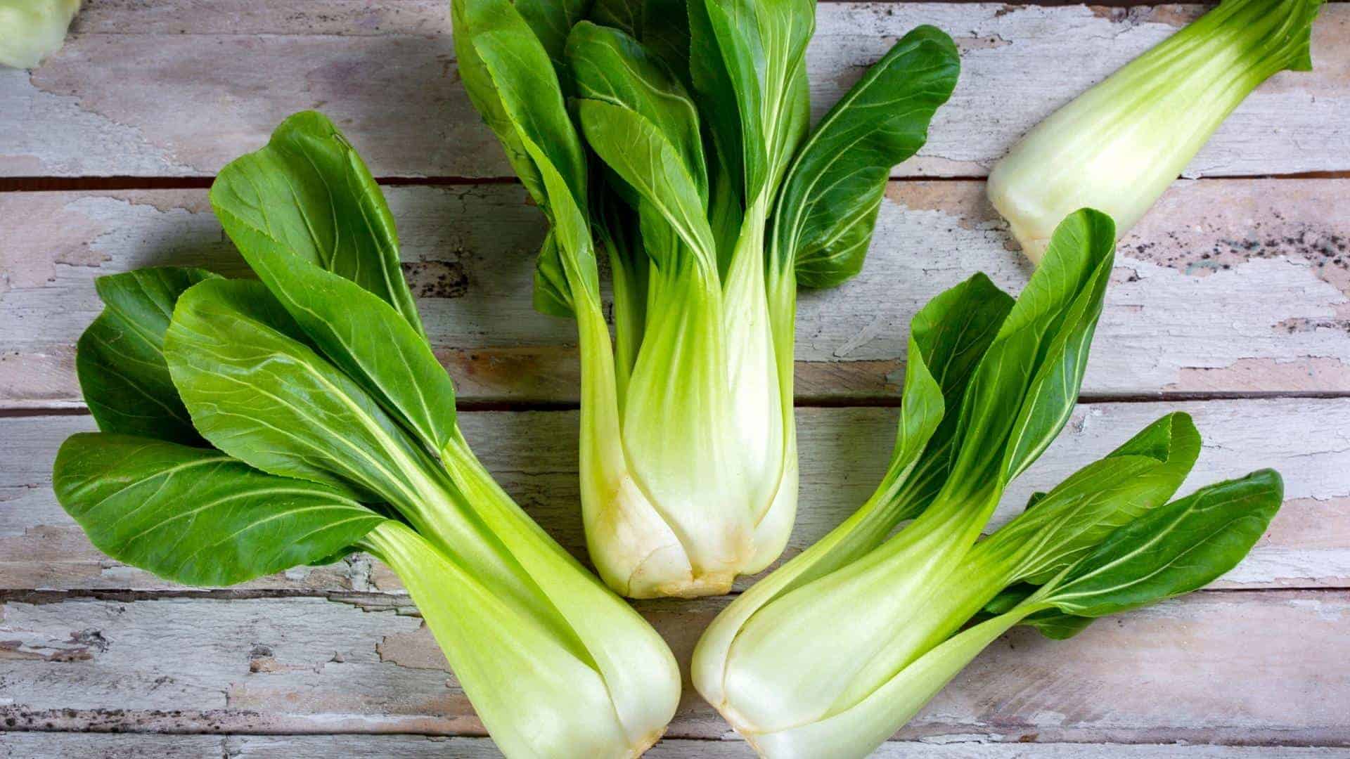 Food Security Seed Bundle Small - Image 6